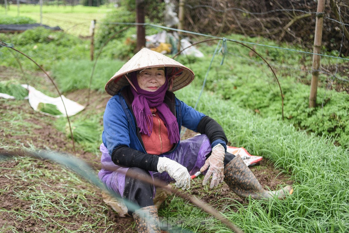 Với những người nông dân, dù mưa hay nắng thì công việc của họ vẫn diễn ra bình thường.