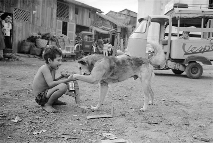 Cậu bé và chú chó ở lối vào nghĩa địa. Cư dân sinh sống ở Mả Lạng được coi là những người nghèo nhất Sài Gòn thời đó, hầu hết là lao động tự do.