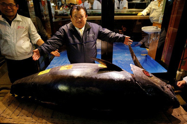 Người mua là chủ một chuỗi nhà hàng sushi nổi tiếng. Hồi năm 2013, người đàn ông này cũng bỏ ra 1,4 triệu USD (~32,5 tỷ đồng) mua con cá ngừ vây xanh 222kg.