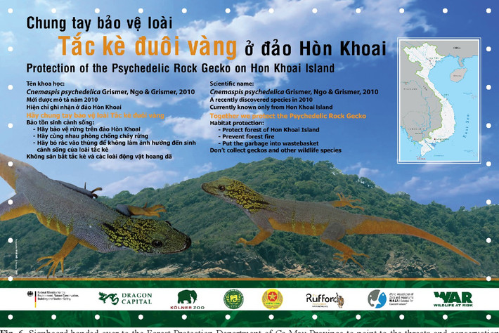 Giới bảo tồn quốc tế hi vọng rằng sự thành công của dự án nhân nuôi cùng việc đẩy mạnh tuyên truyền giáo dục và thực thi pháp luật chặt chẽ sẽ mở ra một tương lai tươi sáng hơn cho loài bò sát màu tím tuyệt đẹp của Việt Nam. Ảnh: Semantic Scholar.