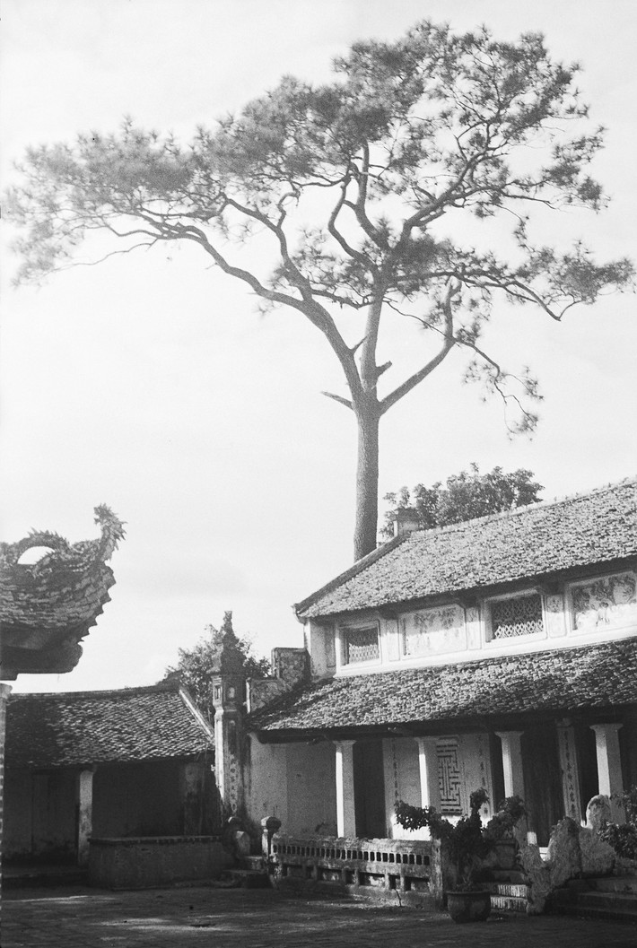 Một góc sân chùa Láng năm 1952. Tòa chính điện nằm bên phải. Bên trái là nhà hữu vu và một phần mái của lầu bát giác.