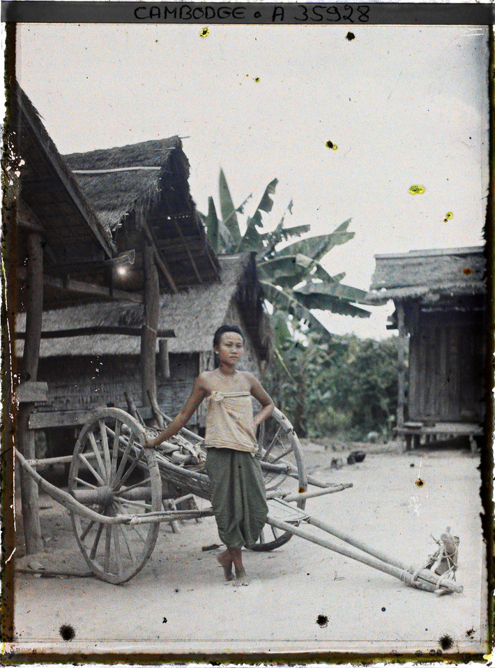 Người phụ nữ đứng bên chiếc xe bò kéo.