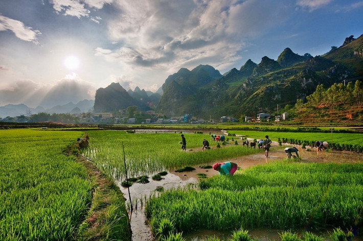 Làm ruộng ở cao nguyên Đồng Văn. Hình ảnh được đăng tải trên trang 500px.com.
