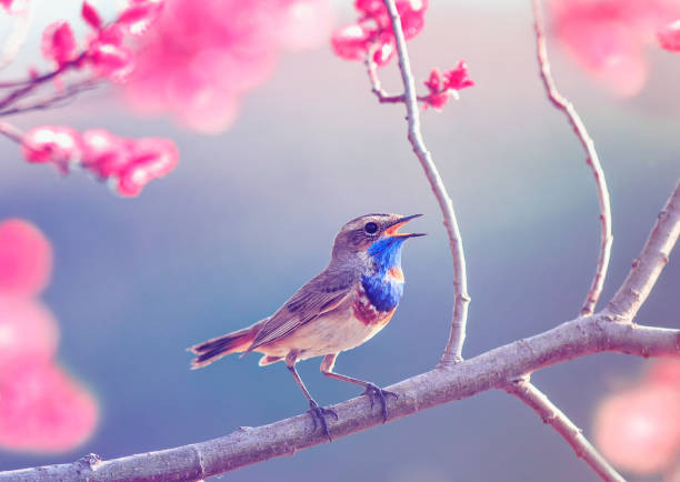 Đặc biệt từ sau Tết Nguyên đán, nhờ có sự giúp đỡ của quý nhân mà cuộc sống thay đổi ngày càng tốt đẹp hơn. Hãy xem những con giáp nào sẽ có may mắn như vậy nhé!