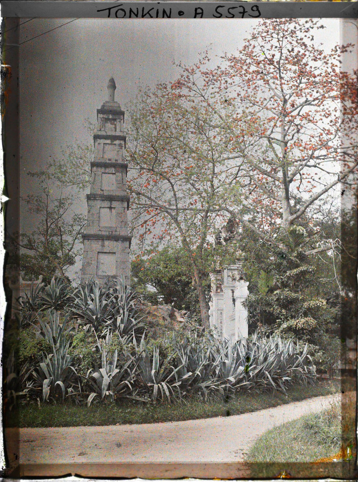 Cây hoa gạo trổ bông bên tháp Bút, lối vào đền Ngọc Sơn, Hà Nội tháng 4/1916.
