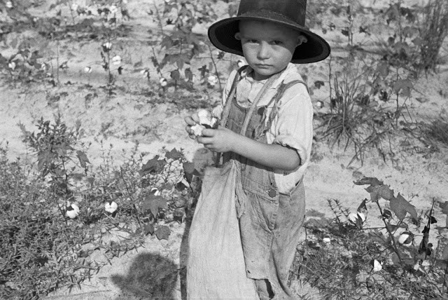 Con trai của một gia đình nông dân trồng bông, quận Lauderdale, bang Mississippi năm 1935. Ảnh: Arthur Rothstein.
