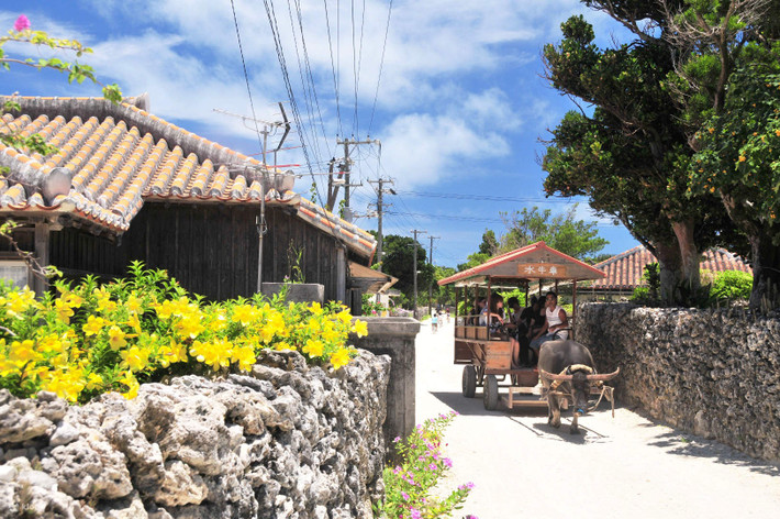 Làng cổ Taketomi (đảo Taketomi, tỉnh Okinawa). Ngôi làng này có nhiều ngôi nhà cổ mang đậm bản sắc nhiệt đới Okinawa, được bao quanh bởi những bức tường đá dày. Du ngoạn bằng xe trâu kéo là trải nghiệm nổi bật dành cho du khách ghé thăm Taketomi. Ảnh: Klook. (Bài có tham khảo tư liệu từ trang Thông tin Nhật Bản – Wappuri).