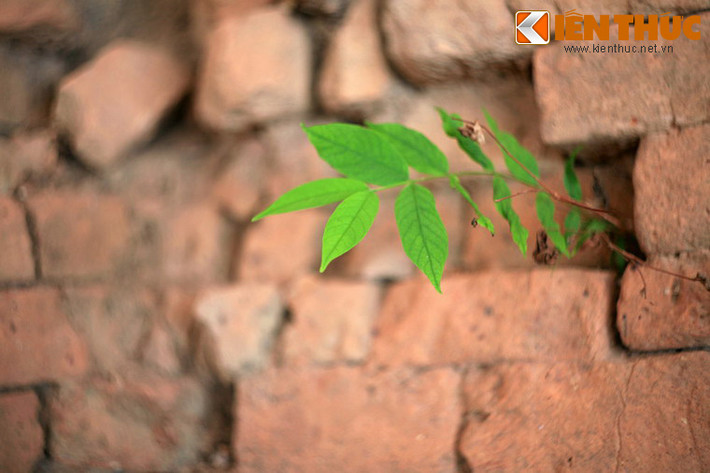 Sau một giai đoạn huy hoàng, đế quốc Phù Nam bắt đầu suy thoái vào cuối thế kỷ thứ 6. Nước Chân Lạp của người Khmer vốn là một thuộc quốc của Phù Nam, sau dần lớn mạnh và bắt Phù Nam thần phục lại mình. Từ thế kỷ thứ 7, vương quốc Phù Nam đã chấm dứt sự tồn tại của mình sau khi bị sát nhập vào lãnh thổ của Chân Lạp.