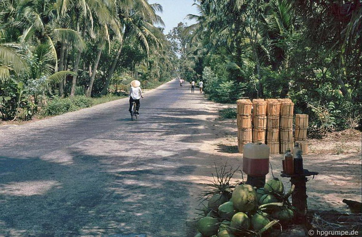 Các mặt hàng được bày bán bên đường: dừa, xăng dầu và củi.