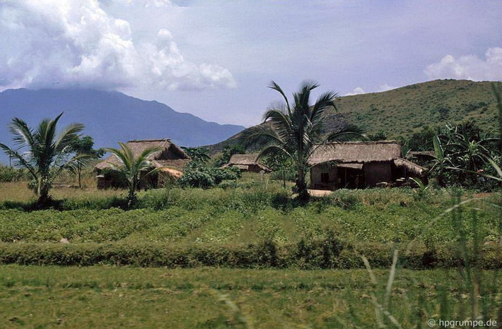 Những ngôi nhà lá đơn sơ ven Quốc lộ 1.