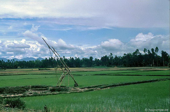 Phong cảnh tại Quảng Ngãi trên đường đến Mỹ Lai.
