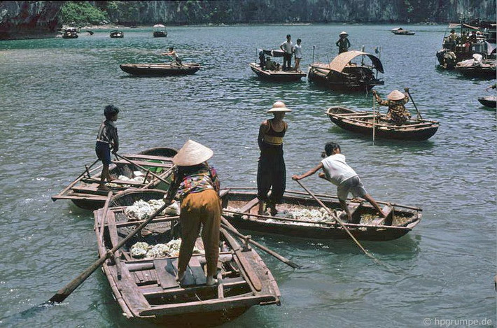 Từ khi ngành du lịch phát triển ở Hạ Long, nhiều hộ gia đình đã chuyển từ đánh bắt cá sang bán hàng phục vụ du khách.