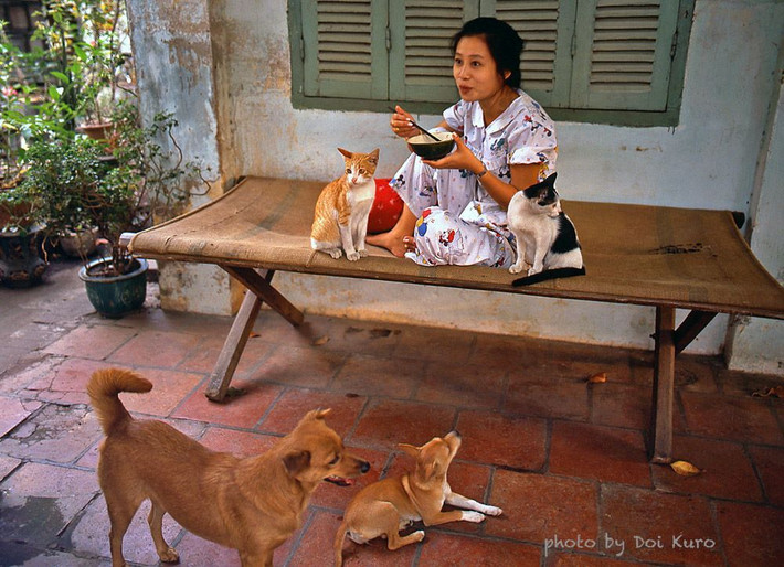 Cô gái Sài Gòn ăn trưa cùng hai chú chó và hai chú mèo cưng, 1990.