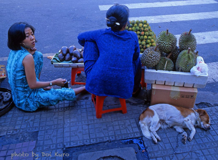 Chó xù ngủ bên quầy hoa quả vỉa hè, Sài Gòn năm 1996.