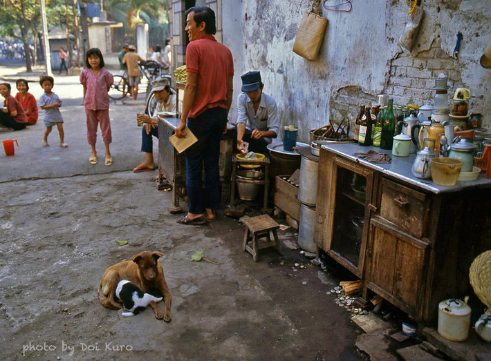 Chó con rúc vào bụng chó mẹ để bú trước một quán cà phê vỉa hè Sài Gòn, 1989.