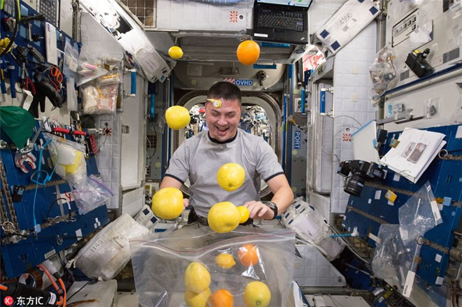 Nhà du hành của NASA - Kjell Lindgren - đang đùa nghịch trái cây được mang từ mặt đất lên ngày 25/8/2015. Những chuyến tàu chở hàng ghé thăm thường mang theo thực phẩm tươi cho các thành viên của Trạm Không gian Quốc tế.