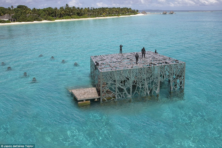 Khu nghỉ dưỡng Fairmont Maldives Sirru Fen Fushi đã xây dựng một phòng trưng bày nghệ thuật bán ngập nước đầu tiên trên thế giới ở Maldives, được gọi là Coralarium. Khách lặn có thể chìm đắm trong một bộ sưu tập các tác phẩm điêu khắc mê hoặc.
