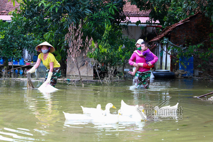 Người dân xã Nam Phương Tiến đang phải sống chung với rác thải ô nhiễm