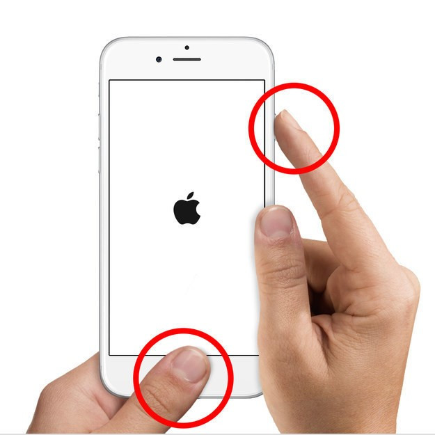 Màn hình bị đứng:Người dùng hãy thử giữ nút Nguồn, để xem điện thoại iPhone có tắt nguồn hay không. Nếu thiết bị không tắt, người dùng có thể buộc máy khởi động lại như việc Reset trên máy tính bằng cách nhấn giữ cả 2 nút Home và nút Nguồn trong 10 giây đến khi logo trái táo hiện lên. Cách này sẽ ngắt nguồn điện của máy và khởi động lại, vì thế có thể sẽ dẫn đến hư hỏng phần mềm hoặc phần cứng bên trong, người dùng nên cân nhắc trước khi thực hiện