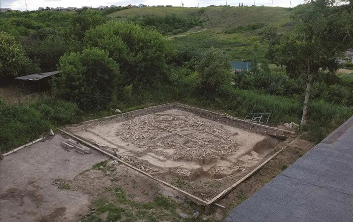 1. Tại khu phức hợp khảo cổ Kostenki-Borshevo (Nga), các nhà khảo cổ đã phát hiện ra một cấu trúc khổng lồ được xây dựng từ xương của ít nhất 60 con voi ma mút Kỷ Băng hà, khoảng 25.000 năm trước. Đây là kiến trúc bằng xương voi ma mút lâu đời nhất được biết đến tới nay.
