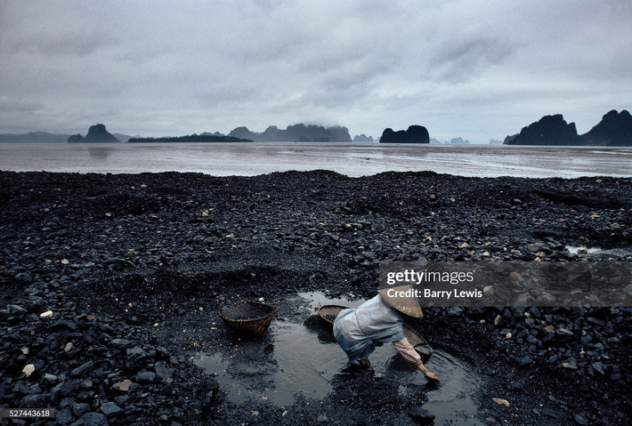 Một nữ công nhân nhặt than từ bãi thải than.