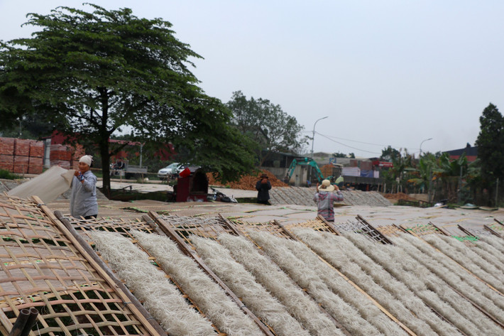 Chỉ còn hơn một tháng nữa là đến Tết nguyên đán, về làng nghề miến Dương Liễu vào những ngày này không khí vô cùng nhộn nhịp. Làng nghề miến dong, tại đây vốn nổi tiếng từ rất lâu, các sản phẩm miến sản xuất được đưa đi tiêu thụ khắp cả nước.