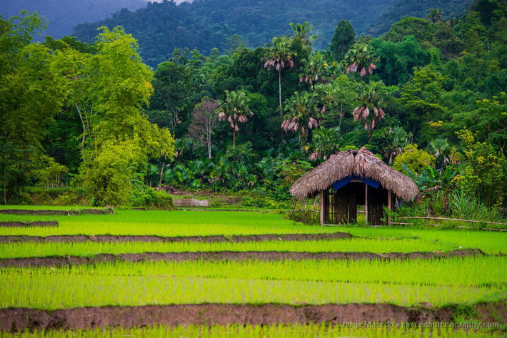Dưới một thung lũng.