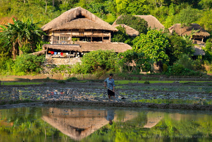 Làm ruộng.