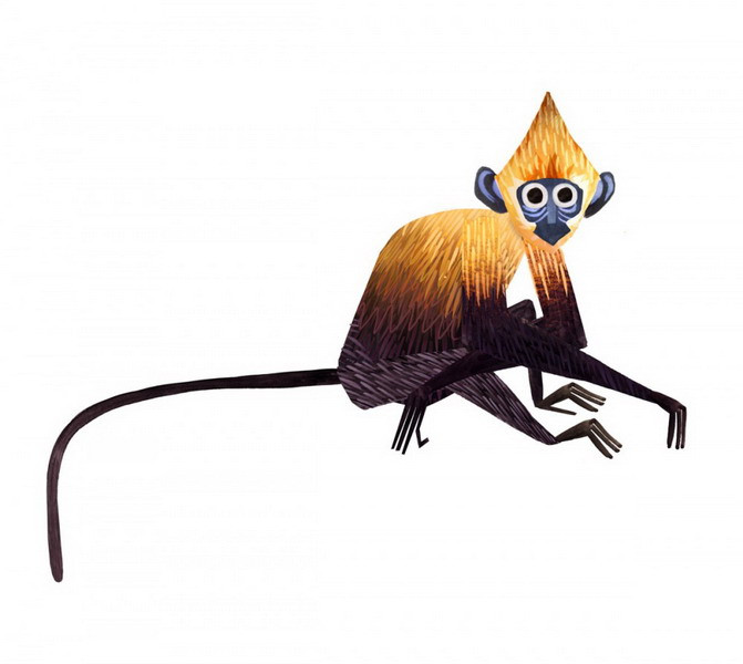 Trên thế giới, Voọc Cát Bà (Trachypithecus poliocephalus) chỉ phân bố tại đảo Cát Bà của Việt Nam với số lượng không đến 100 cá thể.