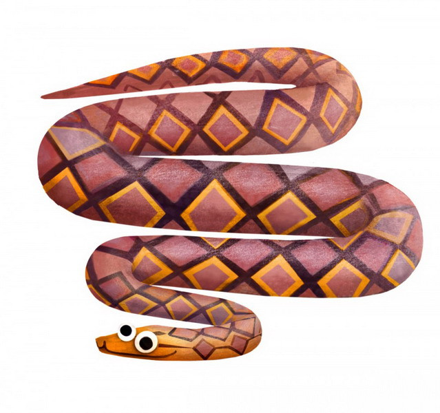 Trăn gấm, trăn vua hay trăn mắt lưới châu Á (Python reticulatus) là một loài trăn khổng lồ sống tại các khu rừng ở miền Trung và miền Nam Việt Nam. Một con trăn gấm trưởng thành có thể dài 6 - 7m.