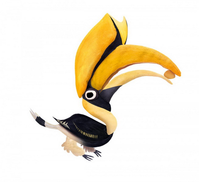 Chim hồng hoàng (Buceros bicornis) là một loài chim quý hiếm của Việt Nam. Chúng gây ấn tượng đặc biệt với một chiếc “mũ” lớn màu vàng tươi nhô ra trên đầu và mỏ. Nó có thể là công cụ để hấp dẫn bạn tình.