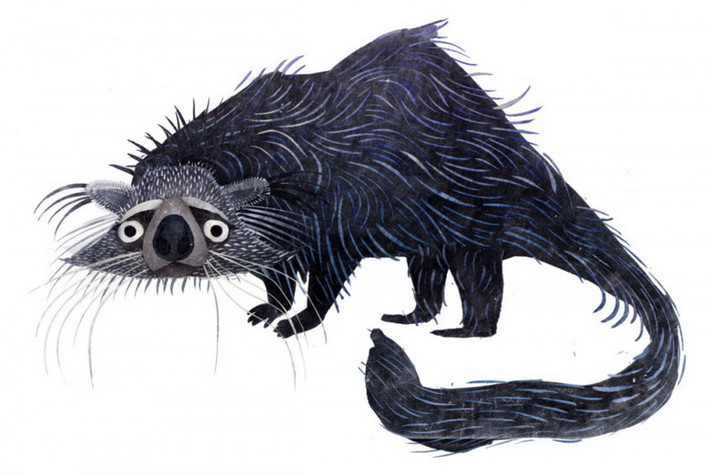 Dù đã được nhân nuôi sinh sản, cầy mực (Arctictis binturong) còn rất ít trong tự nhiên ở Việt Nam.