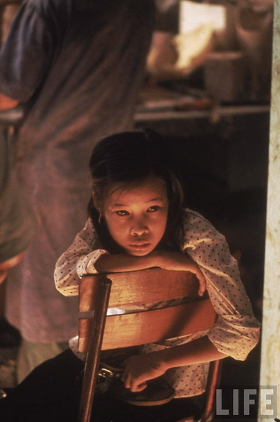 Vào ngày định mệnh, Tròn vào rừng với ý định hái rau rừng để đem ra chợ bán. Em còn hứa với hai đứa em trai và em gái rằng sẽ cho tiền mua quà sau khi bán được rau. Cô bé không biết rằng bi kịch đau đớn sắp xảy đến với mình.