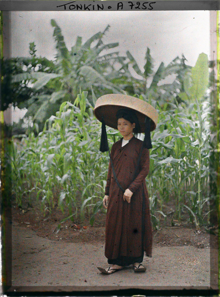 Thiếu nữ Bắc Bộ mặc áo nâu sòng, đội nón quai thao, tạo dáng bên vườn ngô, 1915. Ảnh: Léon Busy/Collections.albert-kahn.hauts-de-seine.fr.