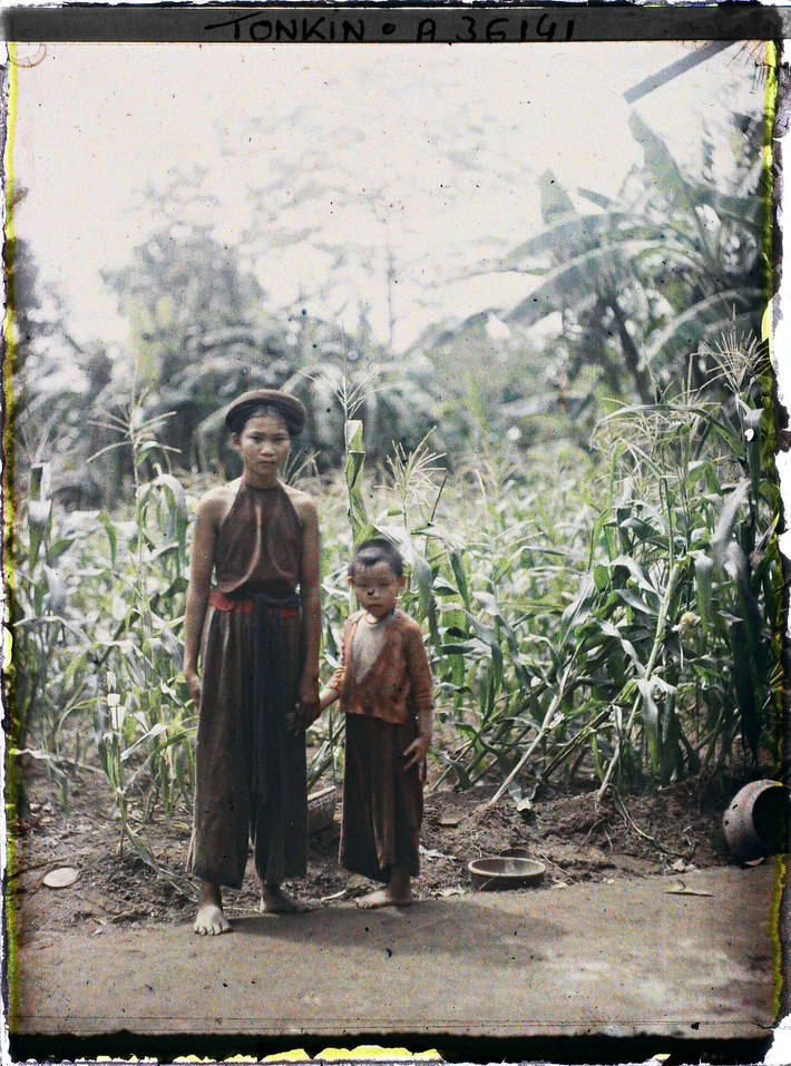 Hai chị em bên ruộng ngô.