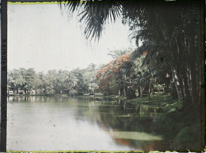Hồ nước trong vườn Bách Thảo.
