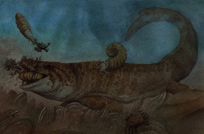 Hình ảnh phục dựng loài thương long Globidens phosphaticus.