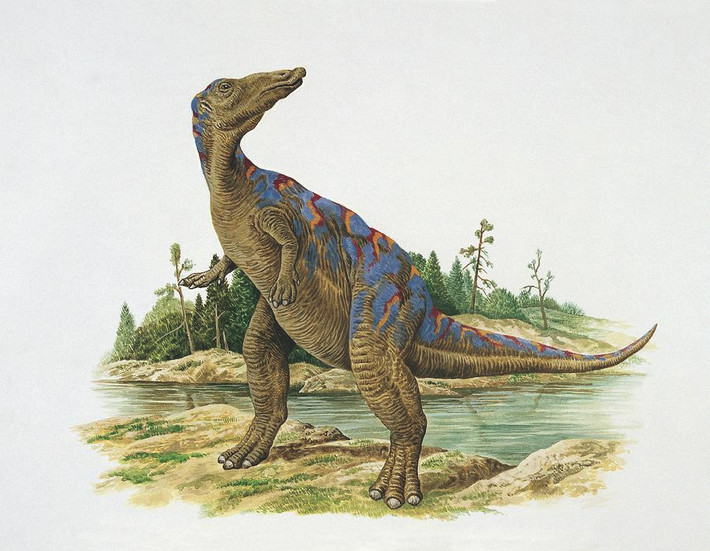 Hình ảnh phục dựng loài khủng long Mandschurosaurus laosensis.