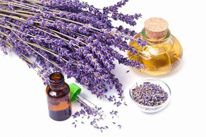 Hoa oải hương cũng có một số đặc tính kháng khuẩn, có thể thanh lọc không khí và cải thiện chất lượng không khí trong nhà. Các phân tử thơm của nó có thể ức chế sự phát triển của vi khuẩn, virrus và nấm mốc trong không khí, từ đó làm giảm các chất có hại trong không khí.
