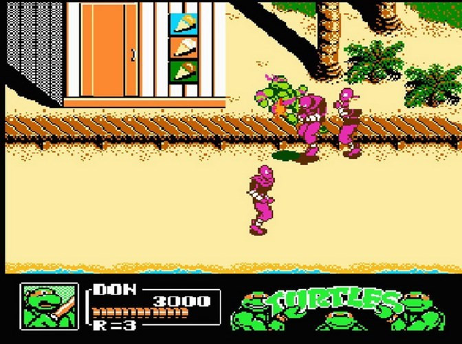 "Teenage Mutant Ninja Turtles" hay "Ninja Rùa" là trò chơi cho hãng Ultra Game phát hành năm 1989, đây là trò chơi chiến đấu hấp dẫn không kém Contra, nhưng độ khó và phức tạp cao hơn nhiều.