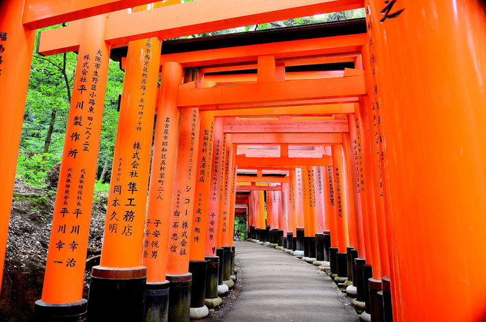 Những người thành đạt ở Nhật thường quyên tiền xây tặng cổng Torii cho các đền thờ Thần đạo nhằm thể hiện lòng thành kính với thánh thần. Vì vậy, một ngôi đền có thể có nhiều cổng. Điển hình như đền Fushimi Inari ở Kyoto có tới hàng ngàn cổng.