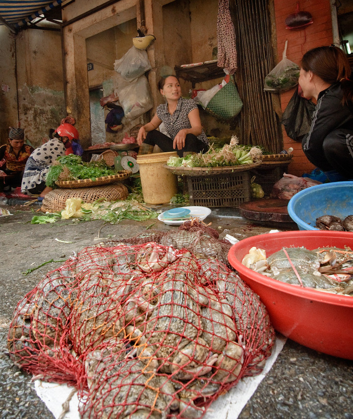 Ếch còn nhảy tưng tưng là một mặt hàng "kỳ dị" có thể mua ở chợ Thanh Hà. "Tôi đã bỏ lỡ cơ hội để ăn thử thứ này khi ở Việt Nam", người chụp ảnh bình luận với sự tiếc nuối. Ảnh: Rich / Flickr.