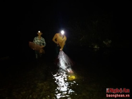 Mỗi dịp tháng Giêng âm lịch, người dân sống ven khe suối ở trên các huyện miền núi cao như Con Cuông, Tương Dương, Kỳ Sơn, Quế Phong lại cùng nhau đi chài, đi xúc để bắt nòng nọc về chế biến làm món ăn. Đây là một đặc sản mà người Thái miền Tây Nghệ An rất ưa chuộng.