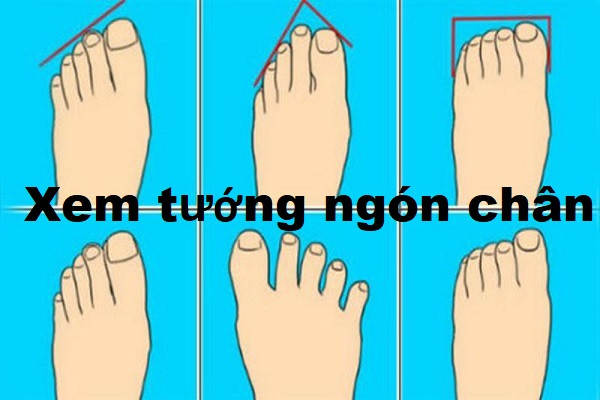 Ngón chân cái dài nhất trong bàn chân. Trong nhân tướng học những người sở hữu bàn chân kèo dài là người luôn để cao sự riêng, thay đổi tâm tính đột ngột đôi khi lại hơi quá nghiêm túc.