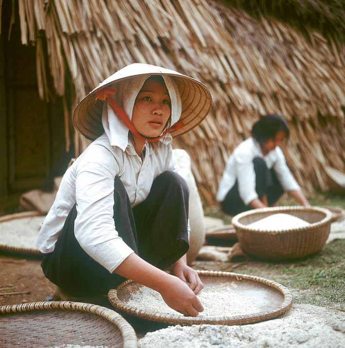 Những người phụ nữ sàng gạo ở ngoại thành Hà Nội.