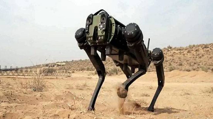 9. Thử nghiệm thành công. MULE đã vượt qua các bài kiểm tra khắc nghiệt tại sa mạc Rajasthan, nơi nó thể hiện khả năng di chuyển linh hoạt trong môi trường cực đoan. Ảnh: tv9hindi.com.