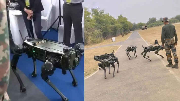 2. Kích thước và trọng lượng. Chó robot này có trọng lượng khoảng 51 kg, dễ dàng di chuyển và vận chuyển trên các địa hình phức tạp. Ảnh: Pinterest.