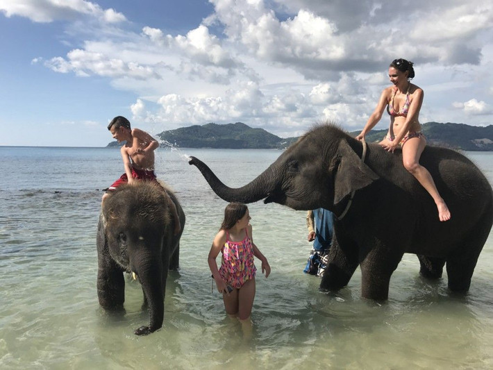 11. Động vật hoang dã phong phú. Thái Lan là quê hương của nhiều loài động vật hoang dã quý hiếm, nổi bật là voi châu Á, loài động vật biểu tượng của đất nước này. Ảnh: Pinterest.