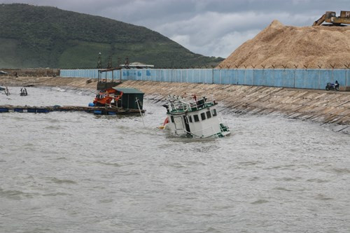 Trong số này có 24 tàu cá của ngư dân xã Quảng Đông (1 tàu bị chìm và 23 tàu bị sóng đánh hư hỏng hoàn toàn), 19 tàu cá của ngư dân ngoại tỉnh, 8 tàu hàng, 8 sà lan, 1 tàu lai dắt của Hải quân và 1 tàu chở dầu bị mắc cạn.
