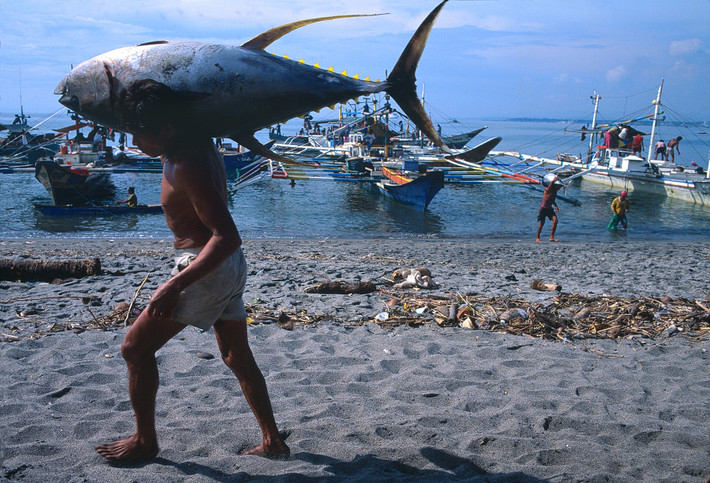 Người ngư dân vác con cá ngừ khổng lồ ở cảng cá của thành phố General Santos, 1996. Ảnh: Hiroji Kubota/ Magnum Photos.